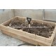 Vermicompost